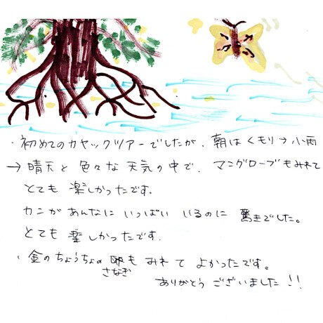 マングローブカヤックツアーのご感想