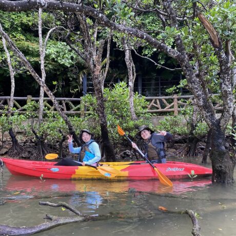 マングローブカヤック