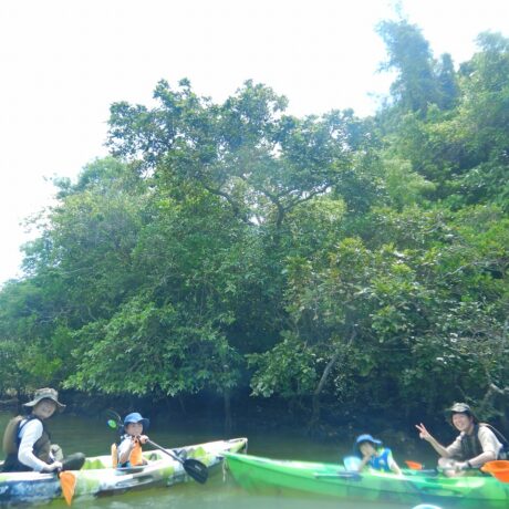 マングローブカヤック