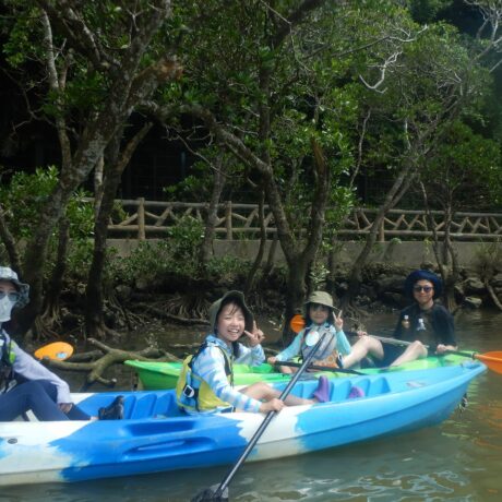 マングローブカヤック