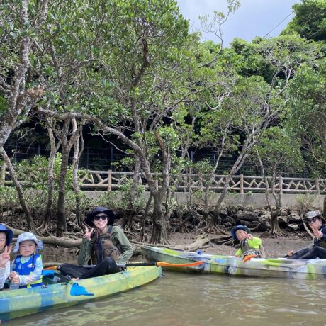 マングローブカヤック