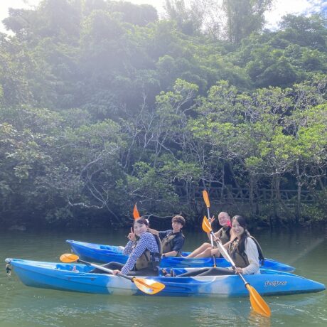 マングローブカヤックツアー