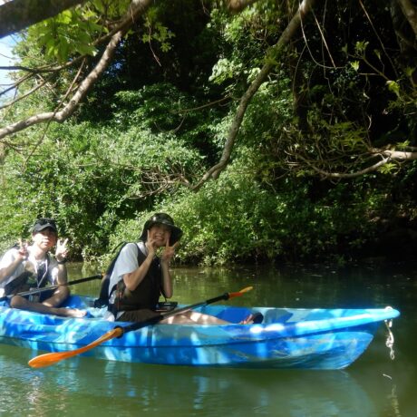 マングローブカヤック