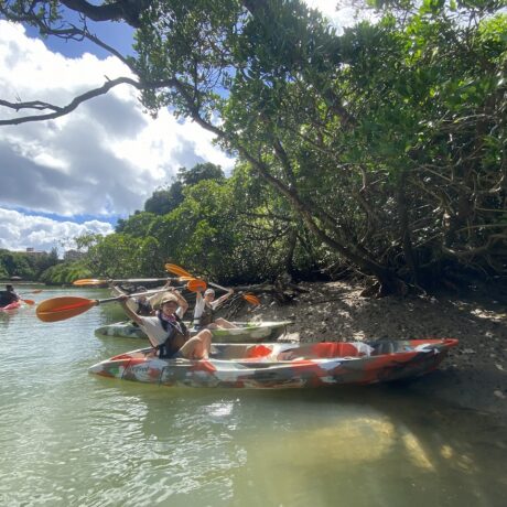 マングローブカヤックツアー