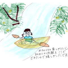 マングローブカヤックツアーのご感想