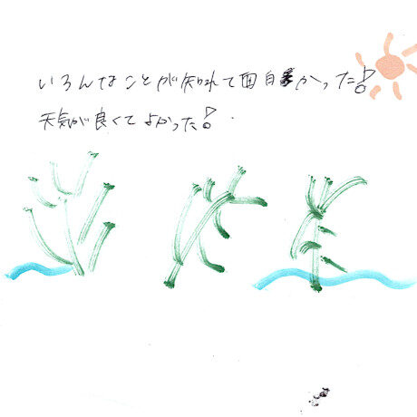 マングローブカヤックツアーのご感想