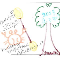 マングローブカヤックツアーのご感想