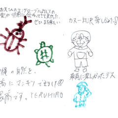 マングローブカヤックツアーのご感想