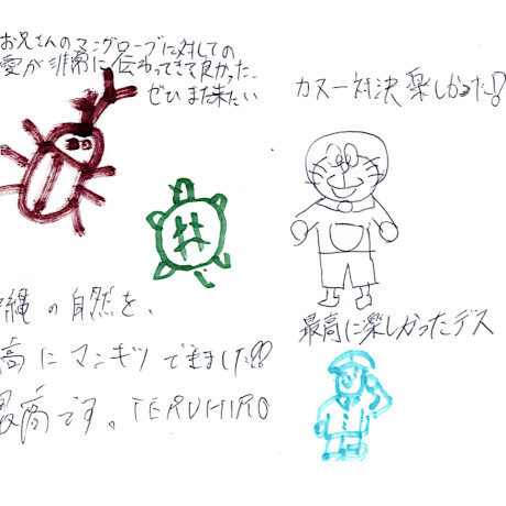 マングローブカヤックツアーのご感想