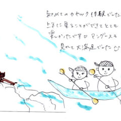 マングローブカヤックツアーのご感想