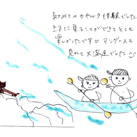 マングローブカヤックツアーのご感想