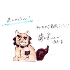 マングローブカヤックツアーのご感想