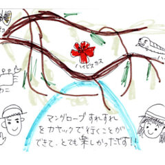 マングローブカヤックツアーのご感想