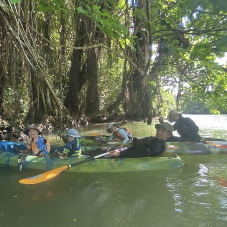 マングローブカヤック