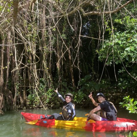マングローブカヤック