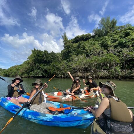 マングローブカヤック