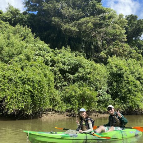 マングローブカヤック