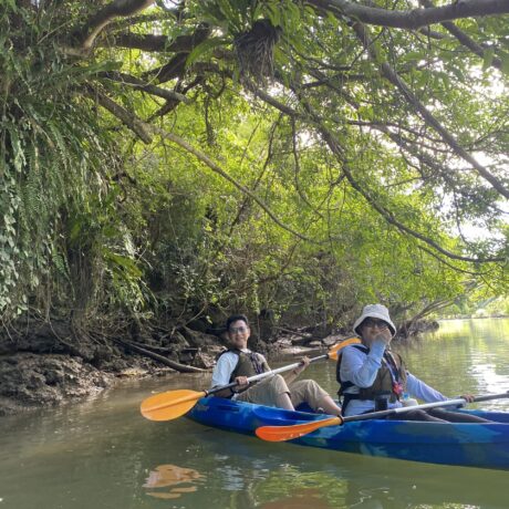 マングローブカヤック