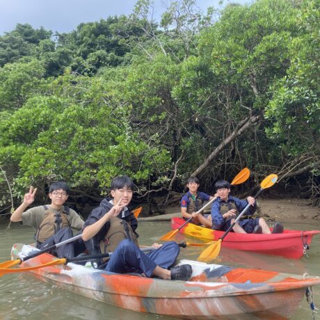 マングローブカヤック