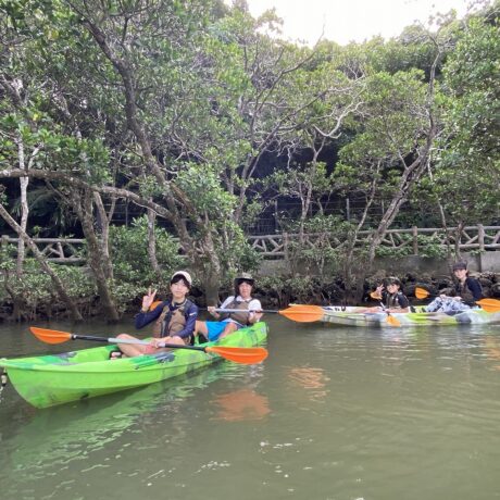 マングローブカヤック