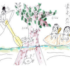 マングローブカヤックのご感想