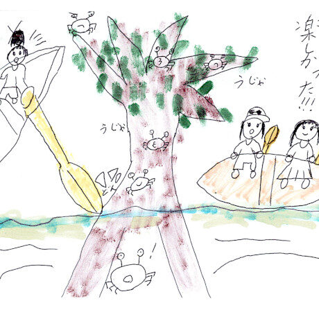 マングローブカヤックのご感想