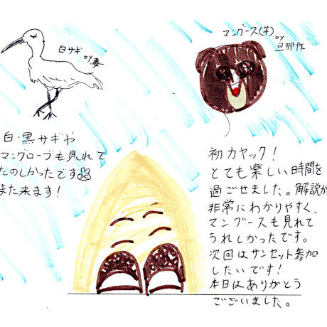 マングローブカヤックツアーのご感想