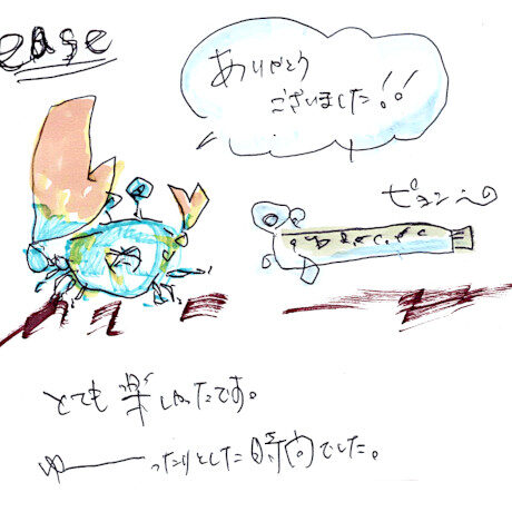 マングローブカヤックツアーのご感想