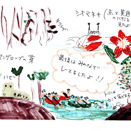 マングローブカヤックツアーご感想