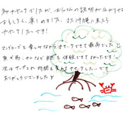 マングローブカヤックツアーのご感想