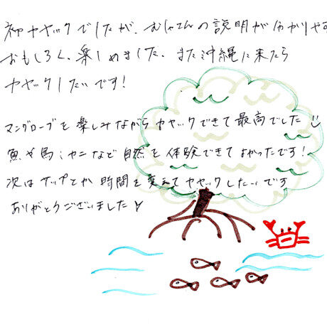 マングローブカヤックツアーのご感想