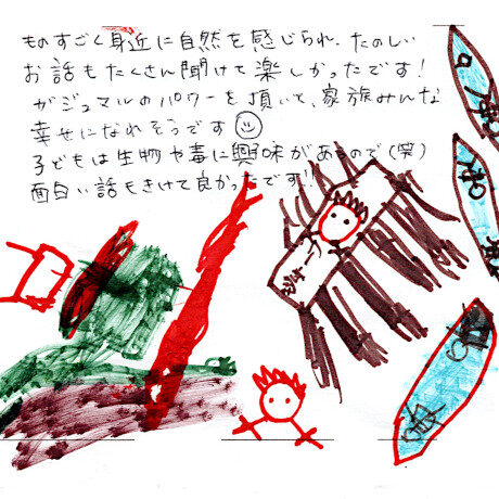 マングローブカヤックツアーのご感想