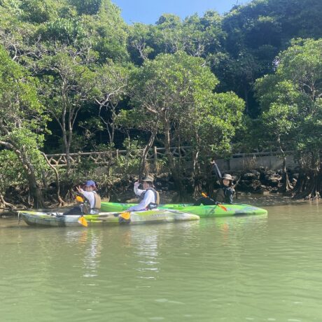 マングローブカヤック