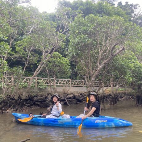 マングローブカヤック