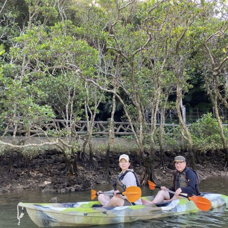 マングローブカヤック