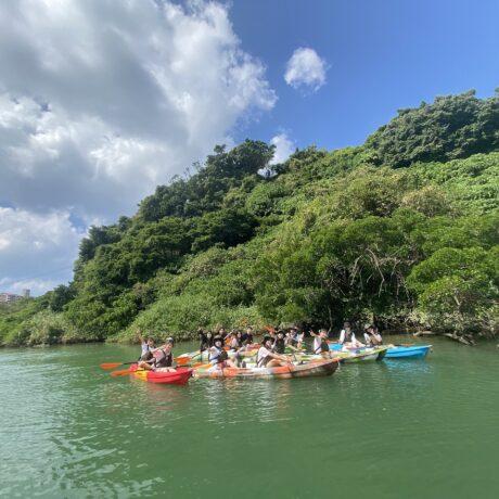 マングローブカヤック