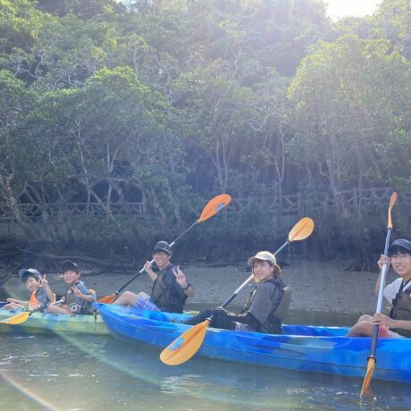 マングローブカヤック