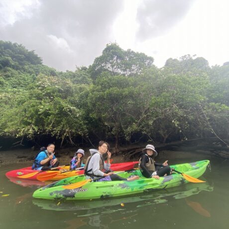 マングローブカヤック