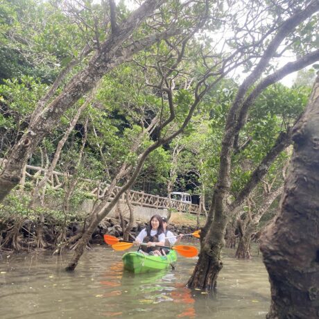 マングローブカヤック