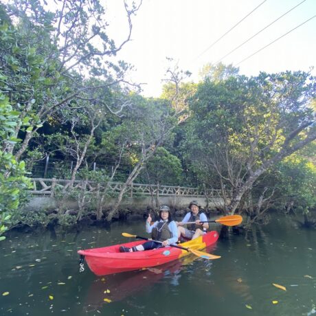 マングローブカヤック