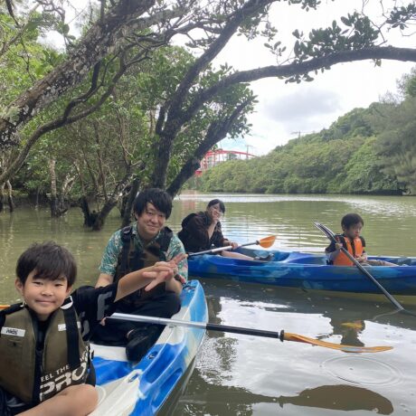 マングローブカヤック