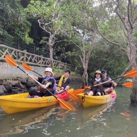 マングローブカヤック