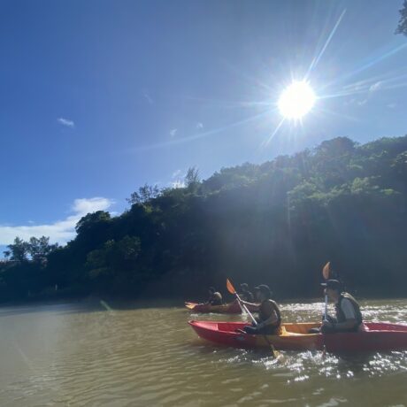 マングローブカヤック