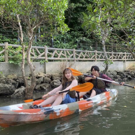 マングローブカヤック