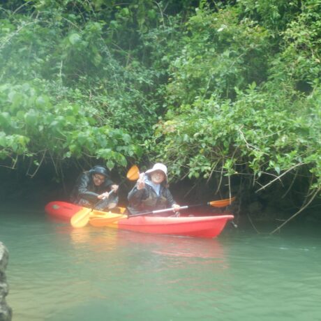 マングローブカヤック