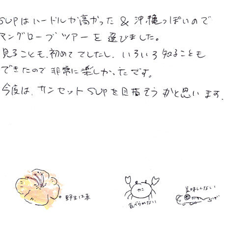 マングローブカヤックツアーのご感想