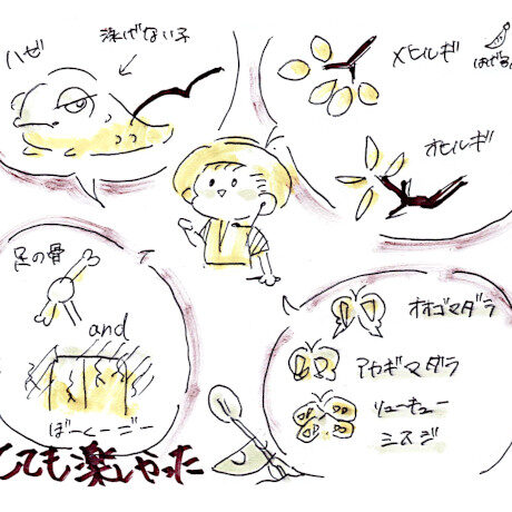 マングローブカヤックツアーのご感想