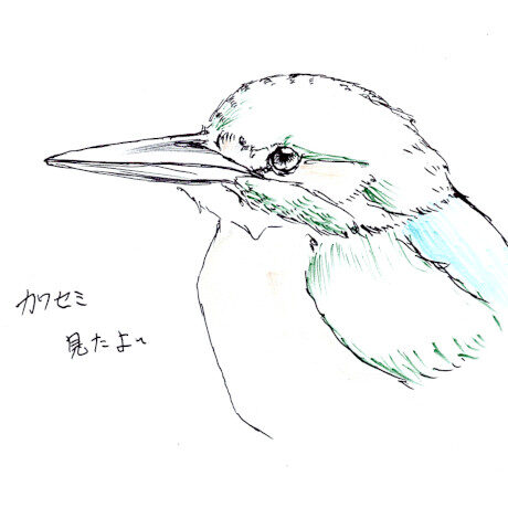 マングローブカヤックツアーのご感想