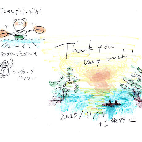 サンセットカヤックツアーのご感想