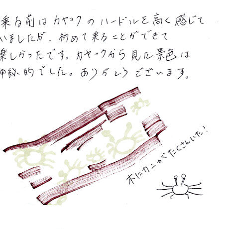 マングローブカヤックツアーのご感想